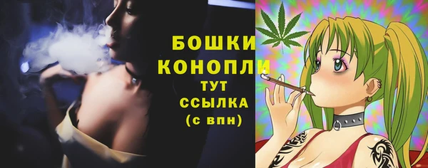 ALPHA-PVP Туринск