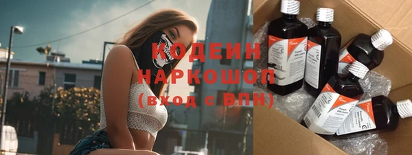 прущие грибы Саяногорск