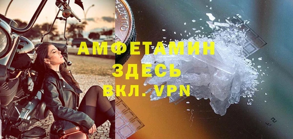 прущие грибы Саяногорск