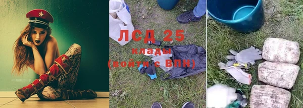 индика Красавино