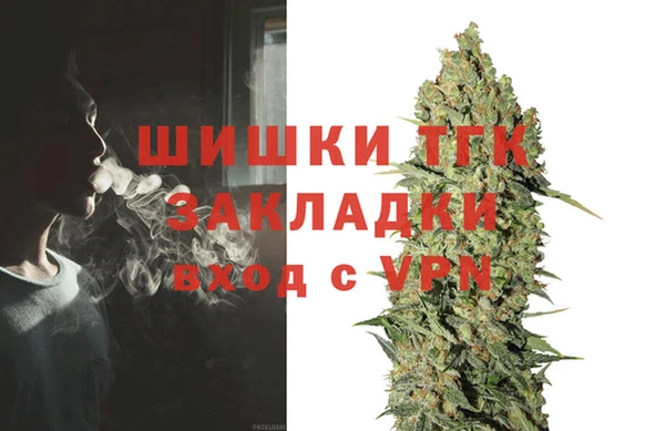 прущие грибы Саяногорск