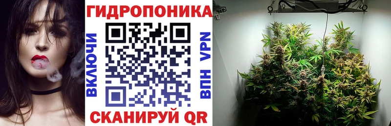 Канабис THC 21% Тимашёвск